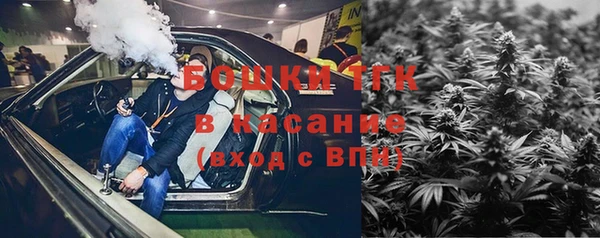 индика Семикаракорск