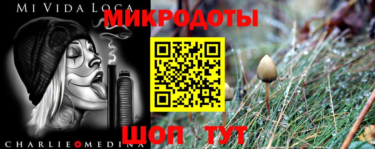 Псилоцибиновые грибы Cubensis Саянск